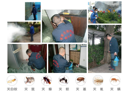 繼上一次后的又一次震撼場景！