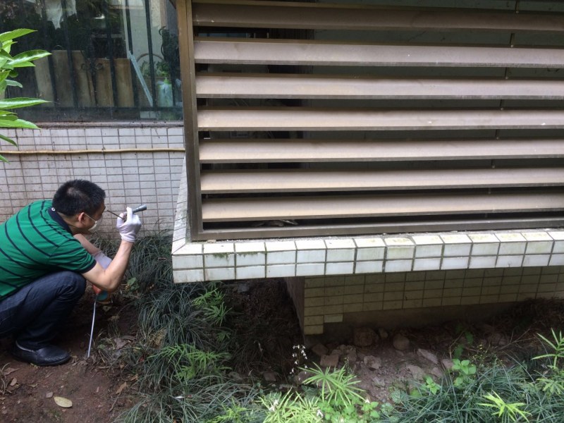 2018年4月10日—貓大哥對銅梁區(qū)一處的家庭滅白蟻服務