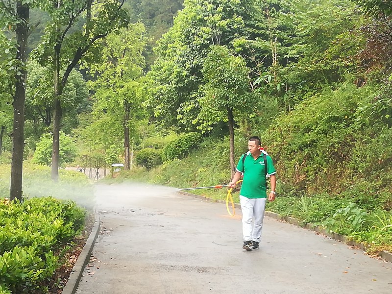 重慶貓大哥—四害：鼠、蟑、蚊、蠅